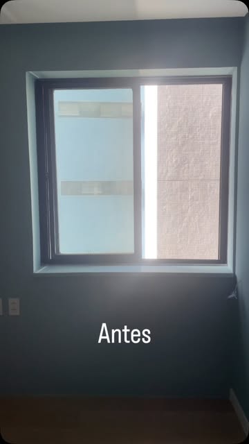 A vista de volta